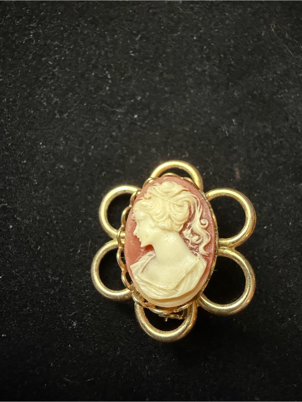 Vintage Style Cameo Brooch Gold-Tone Floral Frame Potrait Pin Victorian